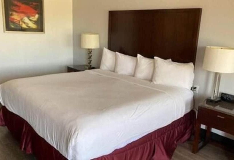 Motel 6 Mesa, Az   Downtown