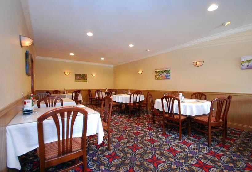 فندق على الطريق Best Western Forest Inn