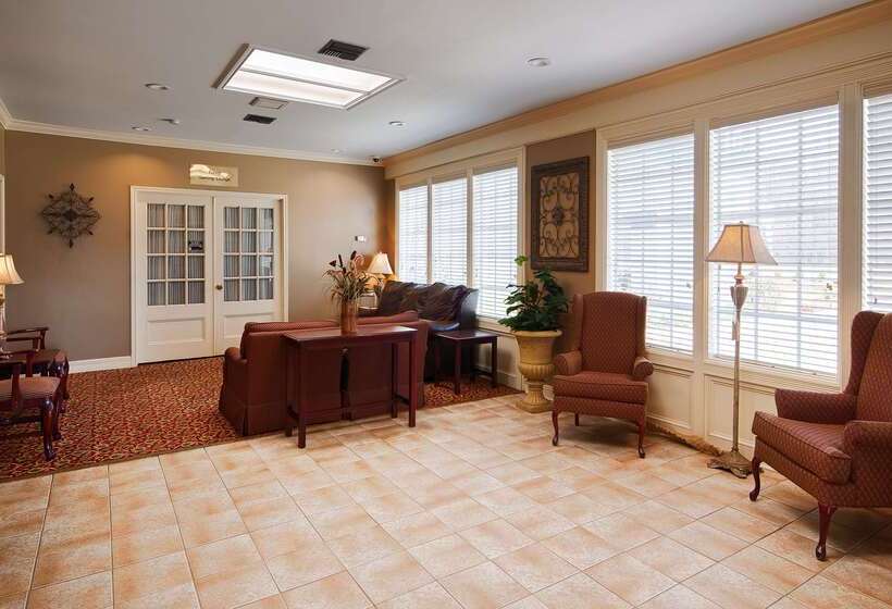 فندق على الطريق Best Western Forest Inn