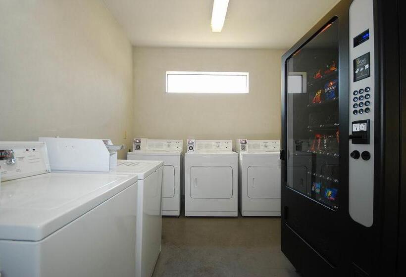 فندق على الطريق Best Western Forest Inn