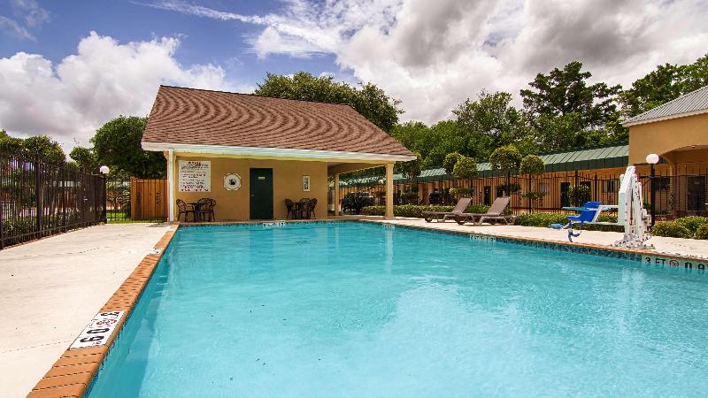 فندق على الطريق Best Western Forest Inn