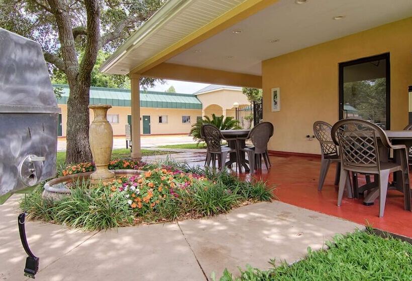 فندق على الطريق Best Western Forest Inn