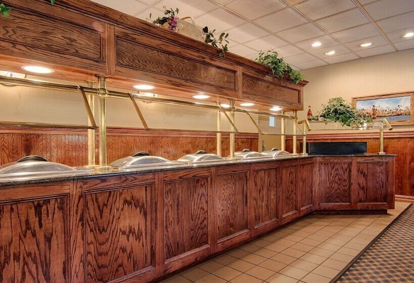 فندق على الطريق Best Western Forest Inn