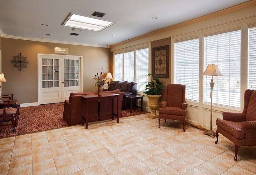 فندق على الطريق Best Western Forest Inn