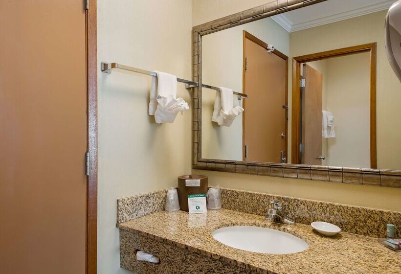 فندق على الطريق Best Western Holiday