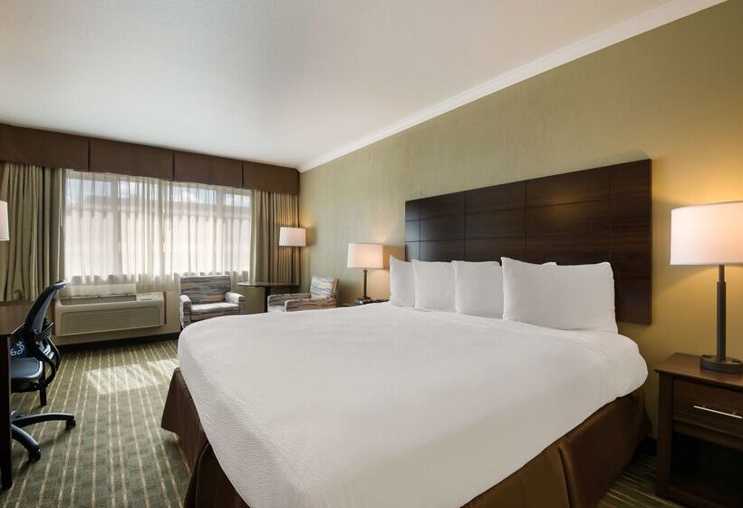 فندق على الطريق Best Western Holiday