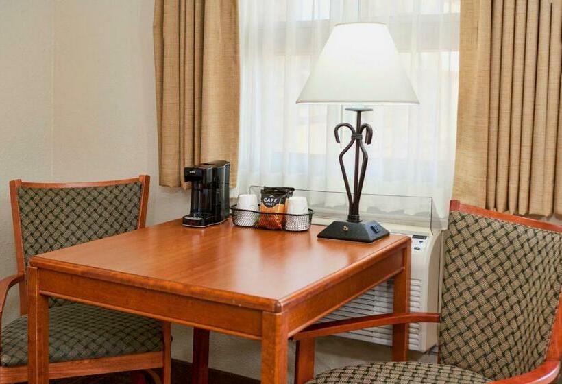 モーテル The Downtown Duluth Inn