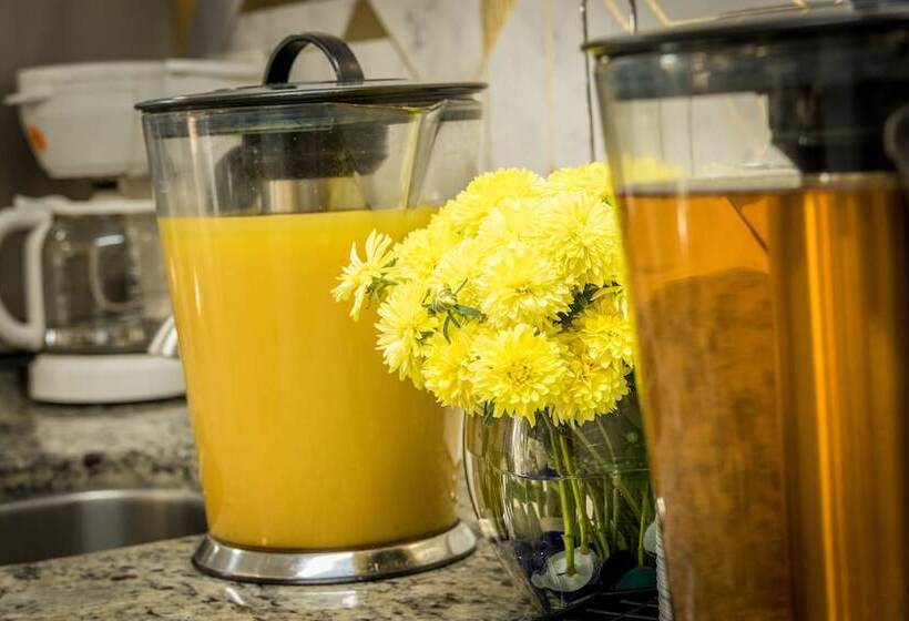 מוטל Envi Boutique