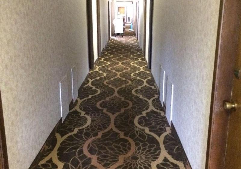 汽车旅馆 Island Inn