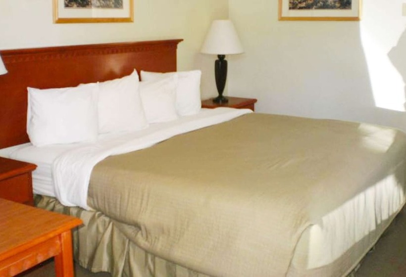 فندق على الطريق Magnuson Hotel Park Vue