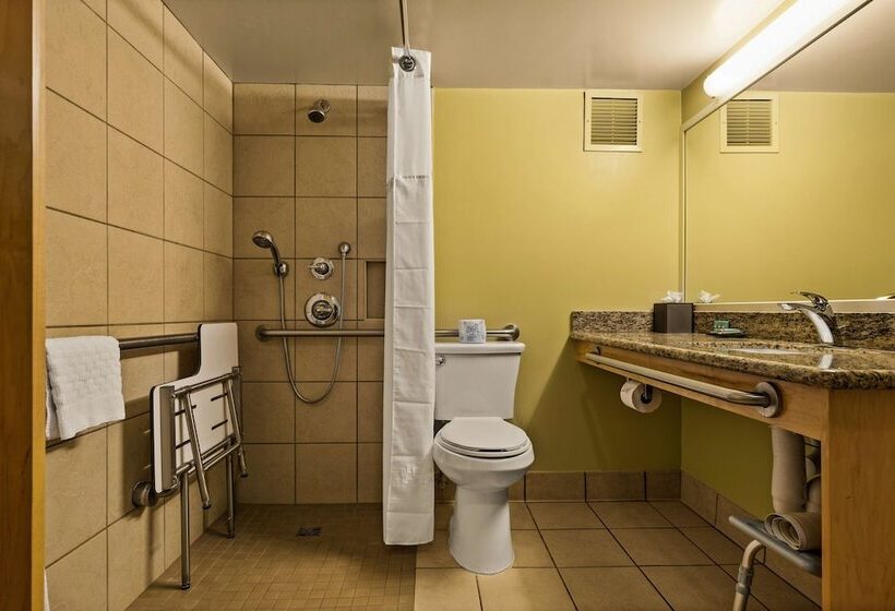 Best Western The Plaza Hotel Honolulu Airport   Free Breakfast