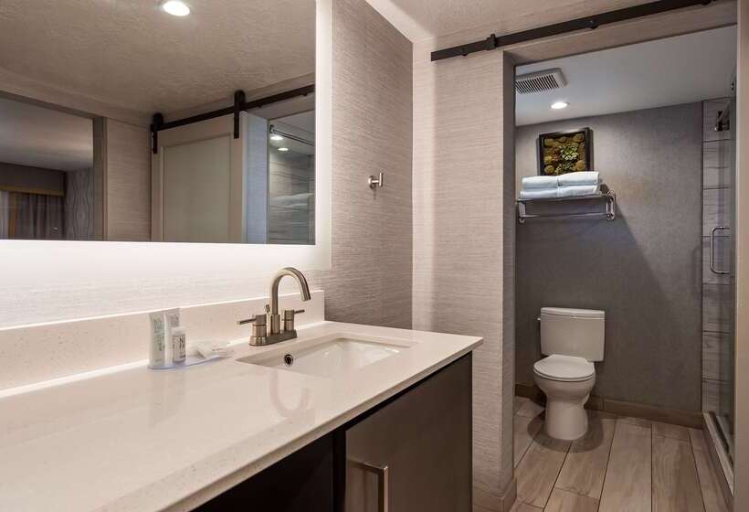 هتل Aiden By Best Western St George