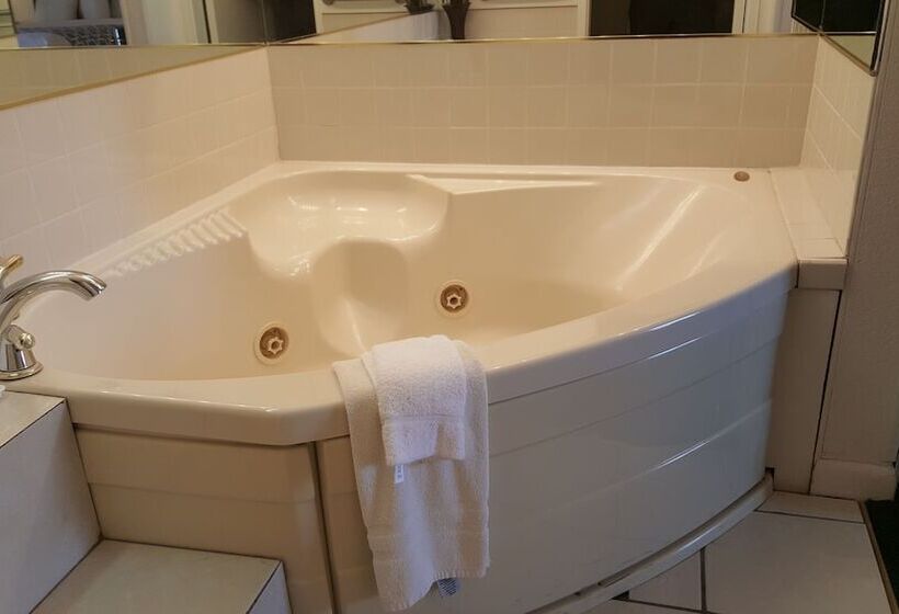 فندق Alamo Inn & Suites