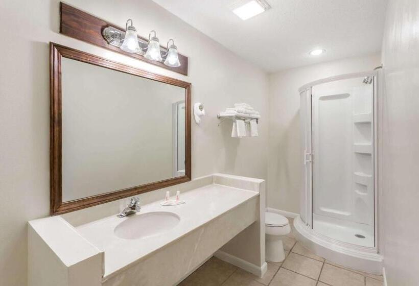 בית מלון כפרי Baymont By Wyndham Greensboro/coliseum