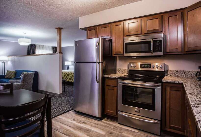 ホテル Baymont By Wyndham Madison West/middleton Wi West