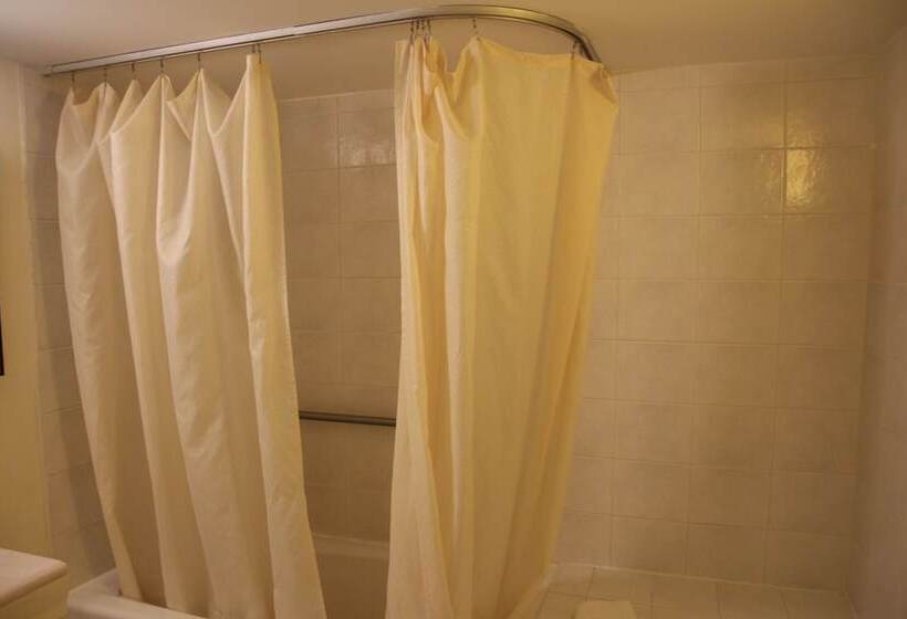 Bedford Plaza Hotel   Boston