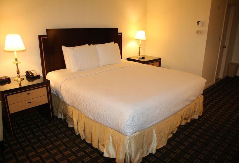 Bedford Plaza Hotel   Boston