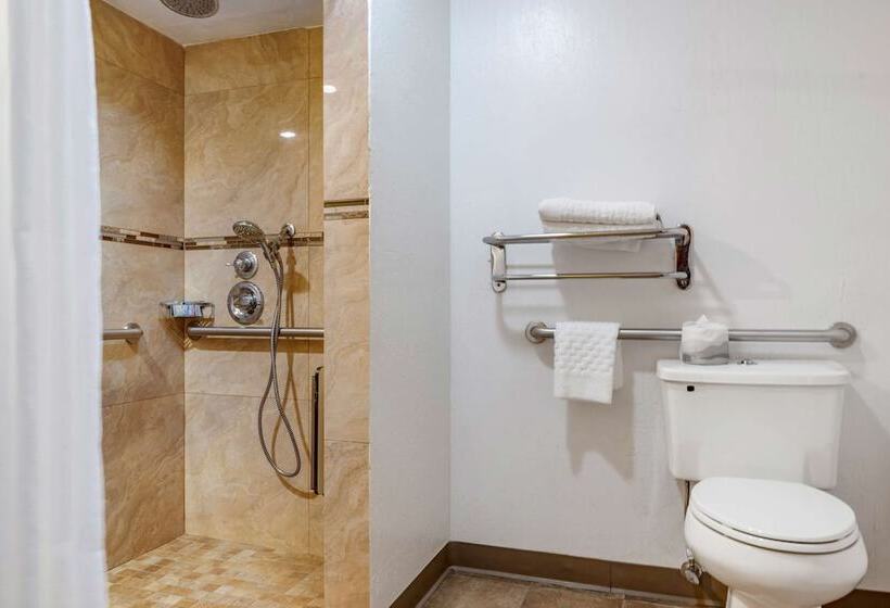 Отель Best Western Inn Santa Clara