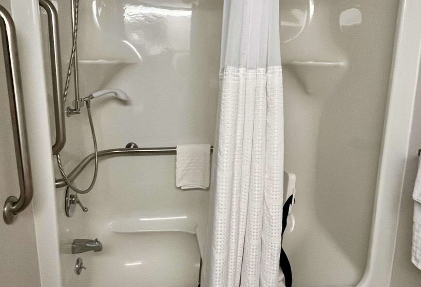 Best Western Okemos/east Lansing Hotel & Suites