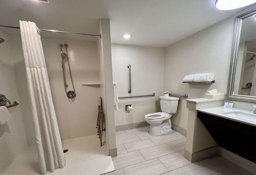 Best Western Okemos/east Lansing Hotel & Suites