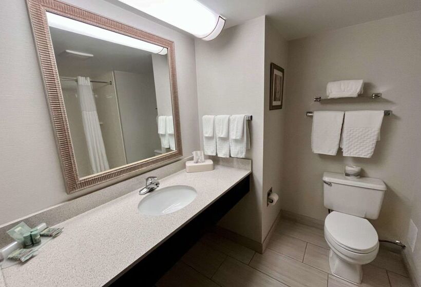 Best Western Okemos/east Lansing Hotel & Suites
