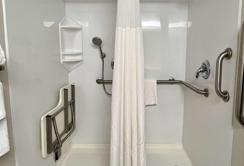 Best Western Okemos/east Lansing Hotel & Suites