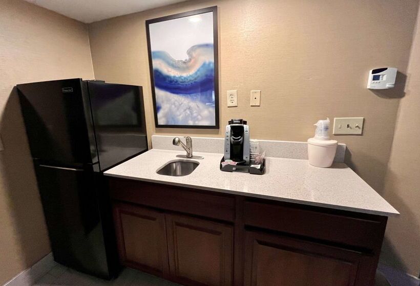 Best Western Okemos/east Lansing Hotel & Suites