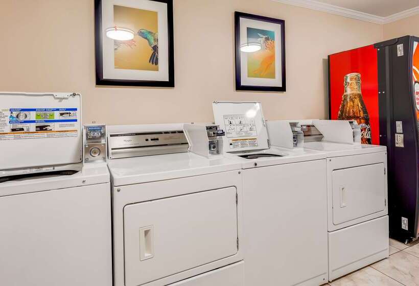 ホテル Best Western Pineywoods Inn