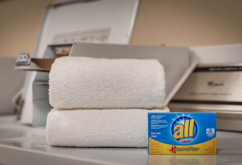 ホテル Best Western Pineywoods Inn