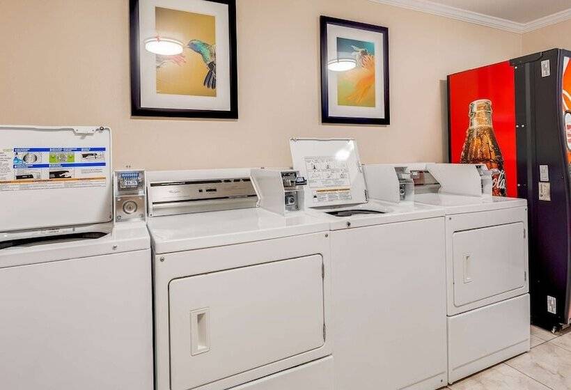 Отель Best Western Pineywoods Inn