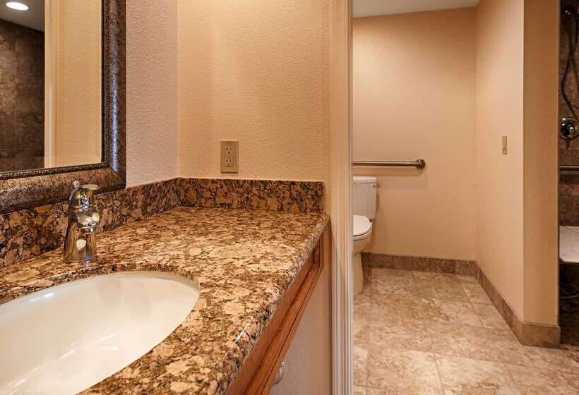 فندق Best Western Plus A Wayfarer S Inn & Suites