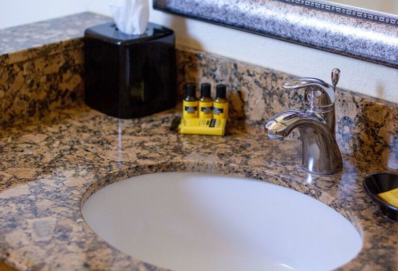 فندق Best Western Plus A Wayfarer S Inn & Suites