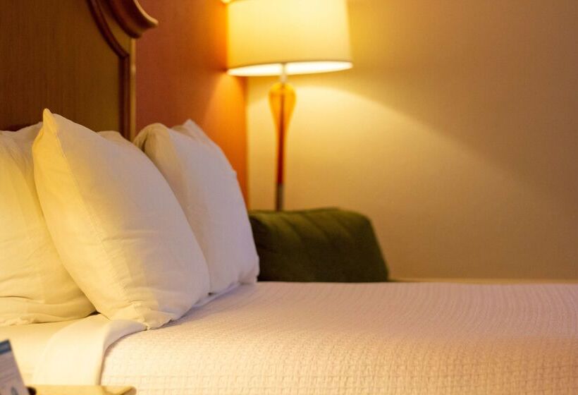 فندق Best Western Plus A Wayfarer S Inn & Suites