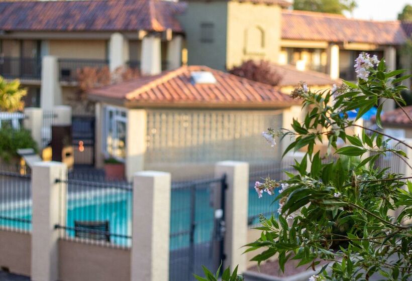 فندق Best Western Plus A Wayfarer S Inn & Suites