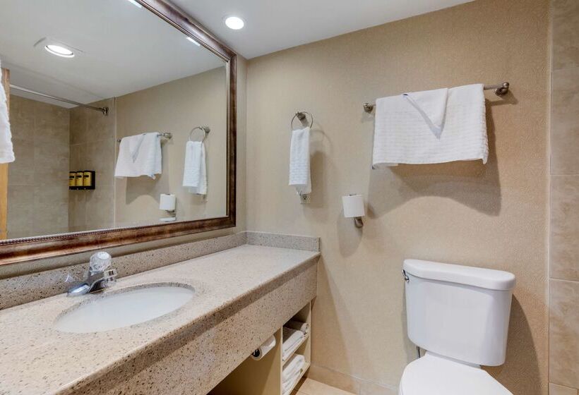 فندق Best Western Plus Big America