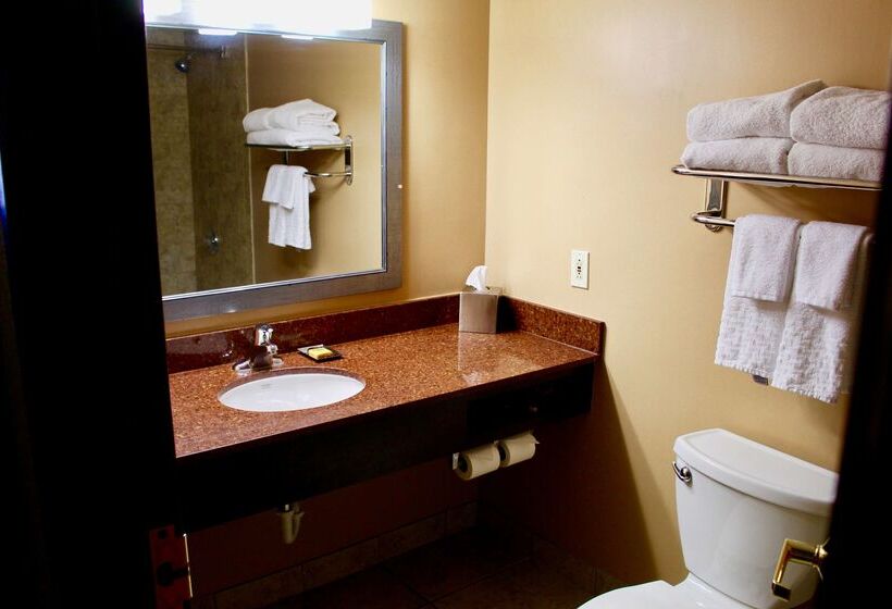 هتل Best Western Plus Dakota Ridge