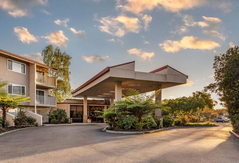 ホテル Best Western Plus Garden Court Inn