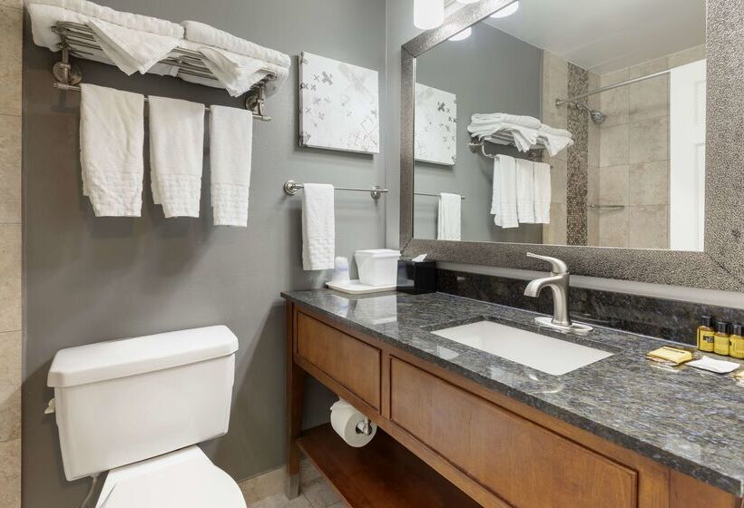 هتل Best Western Plus Milwaukee West