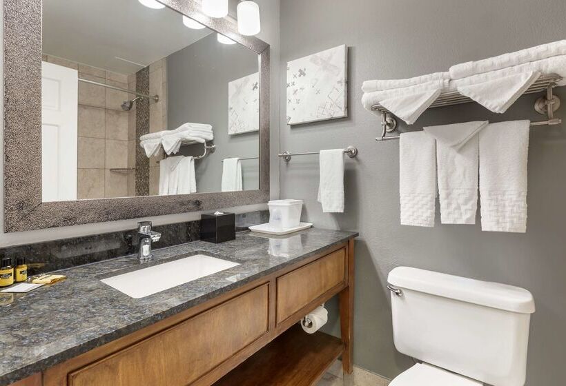 酒店 Best Western Plus Milwaukee West