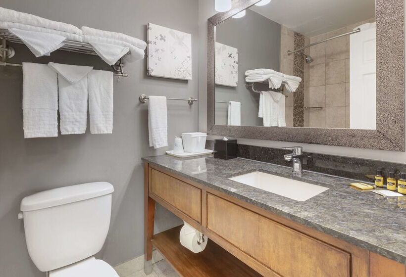 酒店 Best Western Plus Milwaukee West