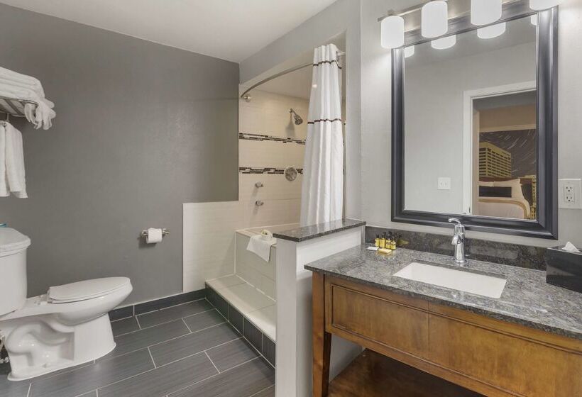 酒店 Best Western Plus Milwaukee West