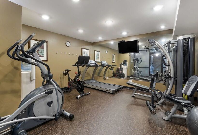 فندق Best Western Plus Rio Grande Inn