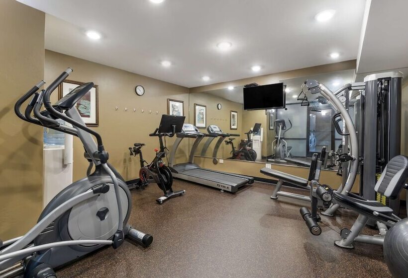 فندق Best Western Plus Rio Grande Inn