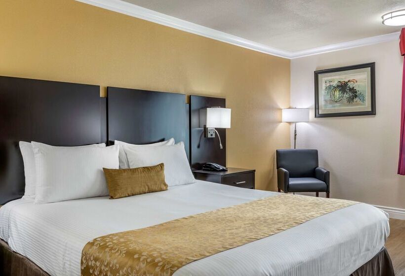 فندق Best Western Plus South Bay