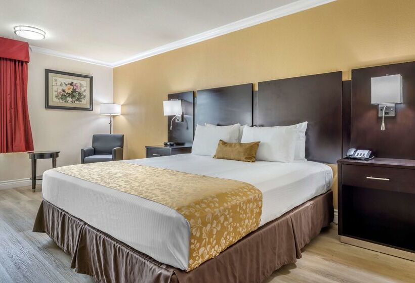 فندق Best Western Plus South Bay