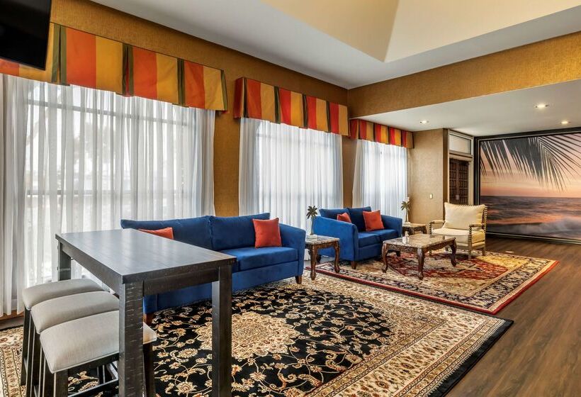 فندق Best Western Plus South Bay