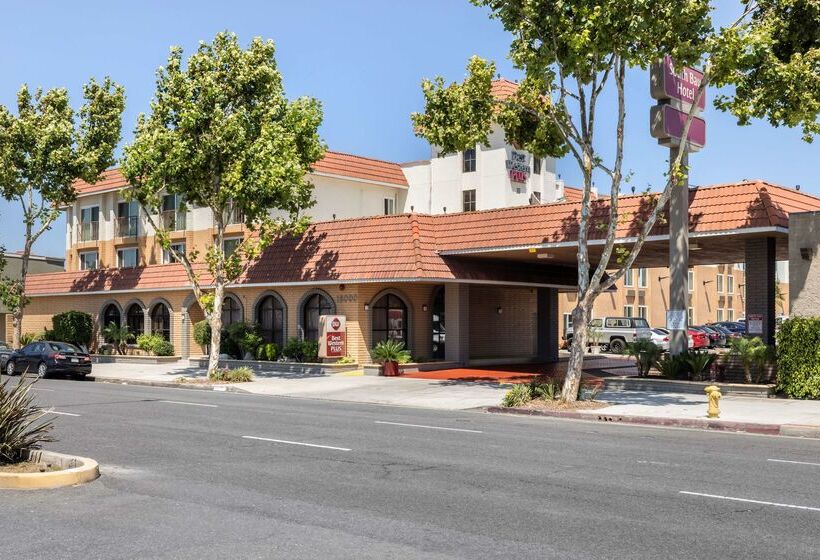 فندق Best Western Plus South Bay