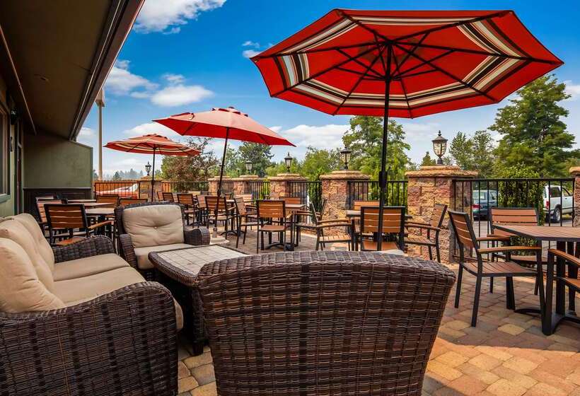 Отель Best Western Plus Tree House