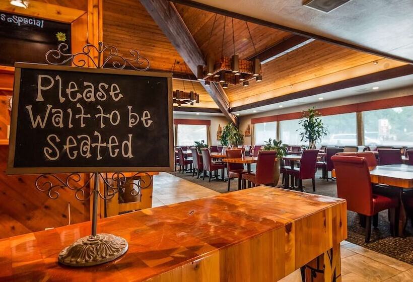 Отель Best Western Plus Tree House