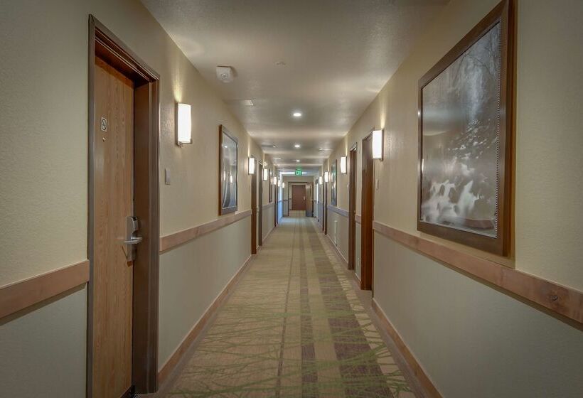 호텔 Best Western Plus Truckeetahoe